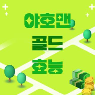 야호맨 골드 효능