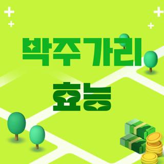 박주가리 효능