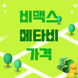비맥스 메타비 가격