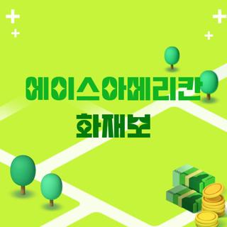 에이스아메리칸 화재보