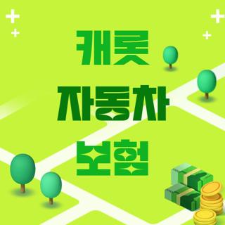 캐롯 자동차 보험