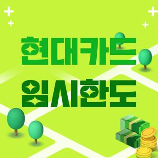 현대카드 임시한도