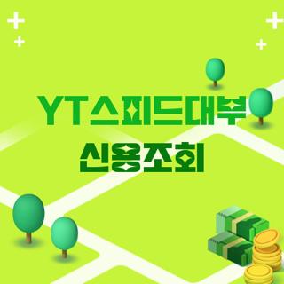 YT스피드대부 신용조회