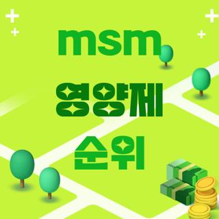 msm 영양제 순위