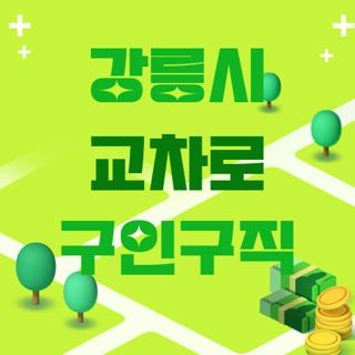 강릉시 교차로 구인구직