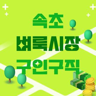 속초 벼룩시장 구인구직