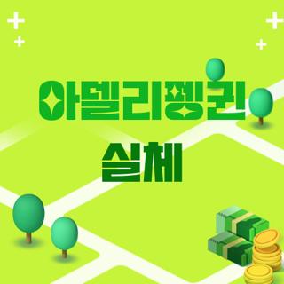 아델리펭귄 실체
