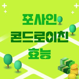 포사인 콘드로이친 효능