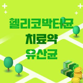 헬리코박터균 치료약 유산균