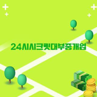 24시시크릿대부중개업