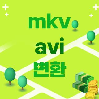 mkv avi 변환