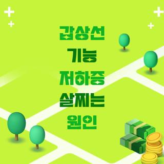갑상선 기능 저하증 살찌는 원인