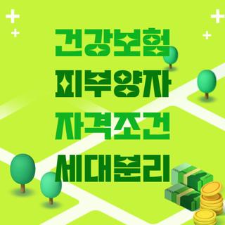 건강보험 피부양자 자격조건 세대분리