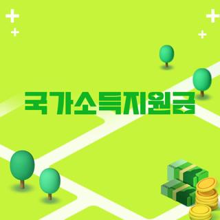 국가소득지원금