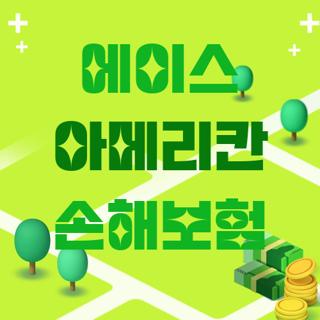 에이스 아메리칸 손해보험