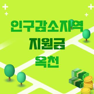 인구감소지역 지원금 옥천
