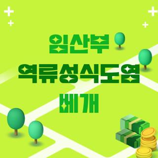 임산부 역류성식도염 베개