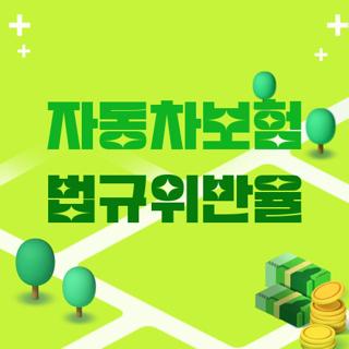 자동차보험 법규위반율