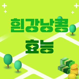 흰강낭콩 효능