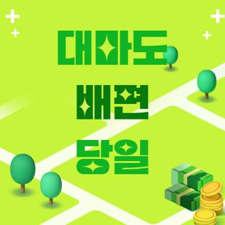대마도 배편 당일