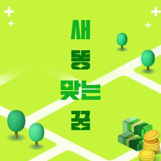 새 똥 맞는 꿈