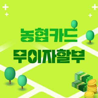 농협카드 무이자할부